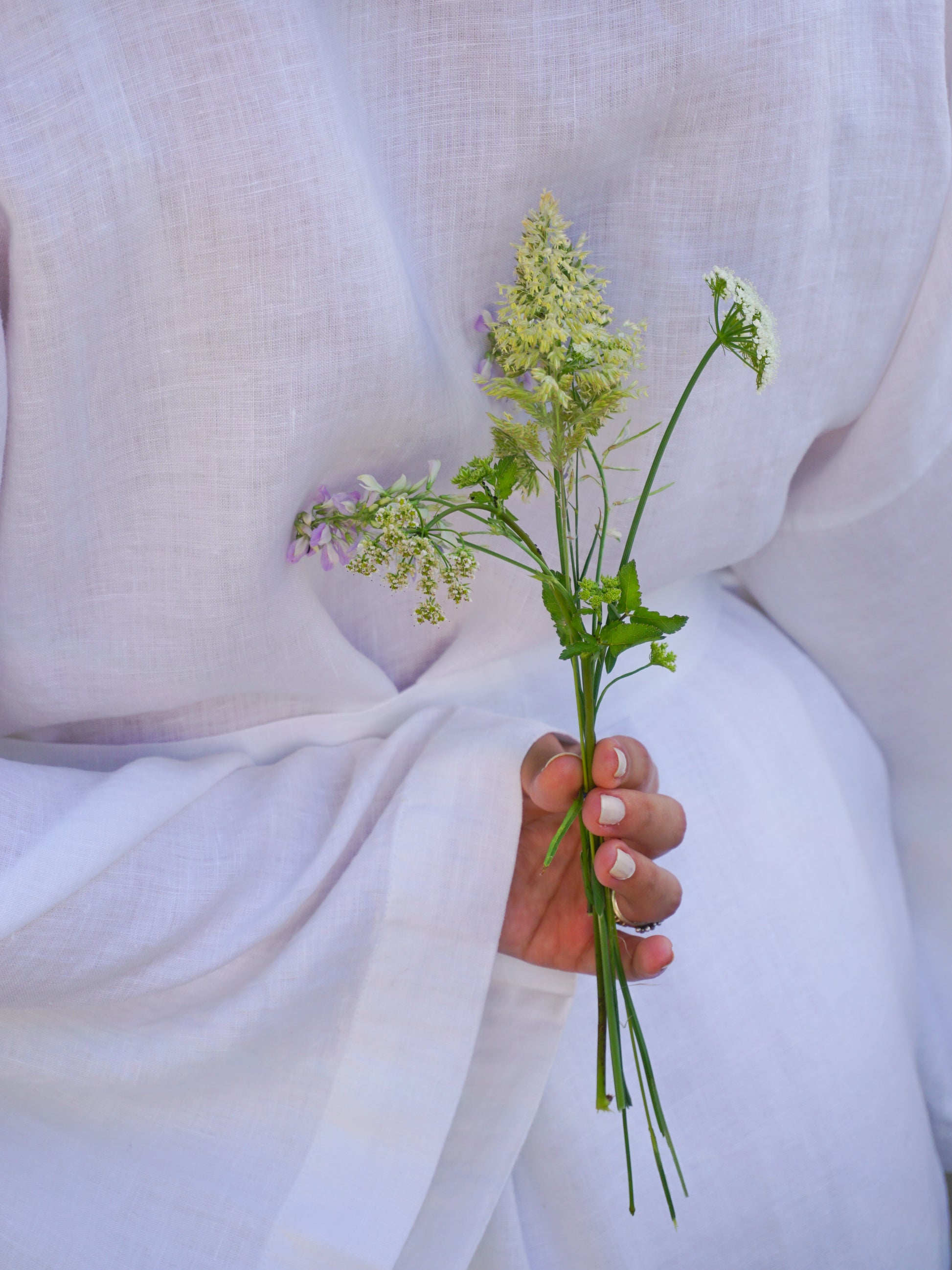Willow Sabahlık